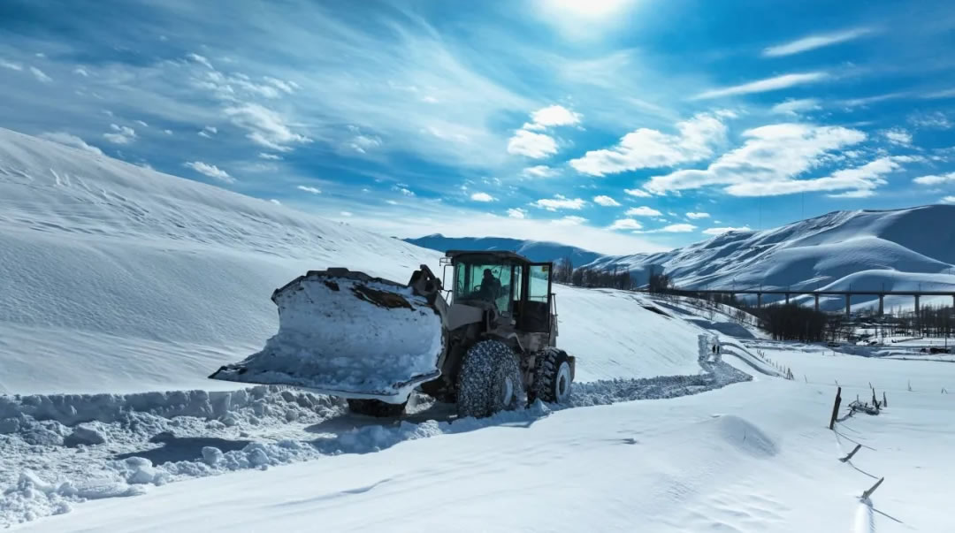 1718329888982372.jpg 1.jpg