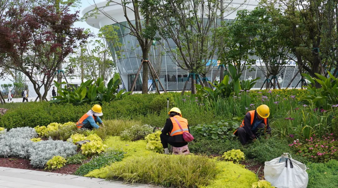 1718331932700944.jpg 1.jpg