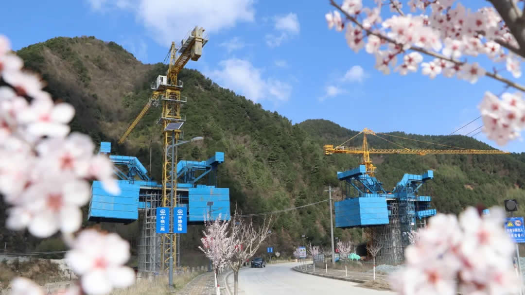 1728888959811278.jpg 1.jpg