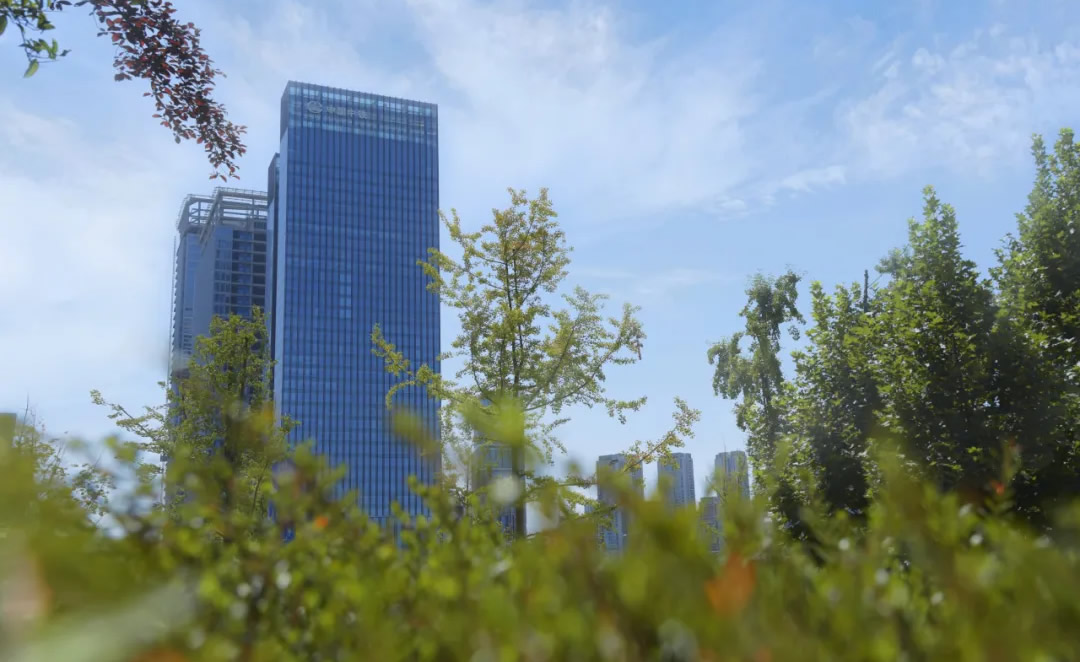 1735627943126479.jpg 1.jpg