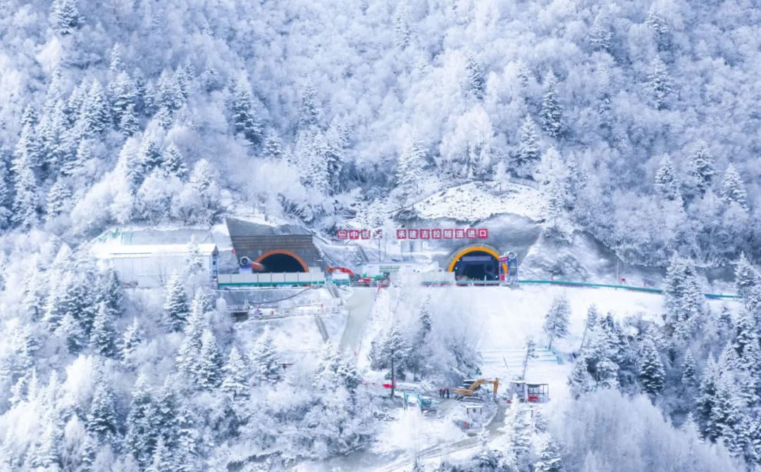 1737516957268604.jpg 1.jpg