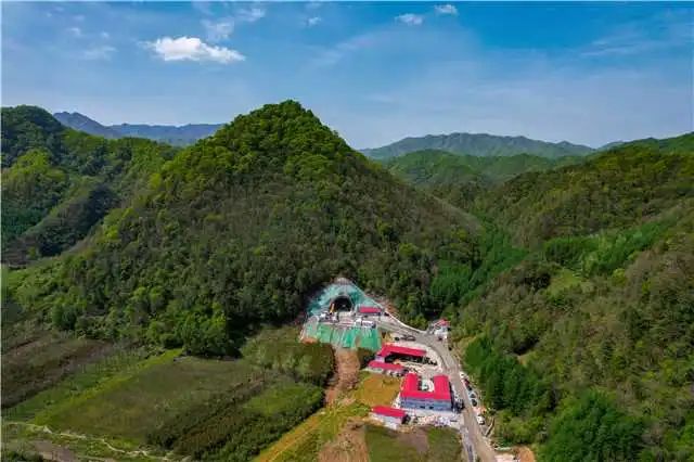 1751012524197731.jpg 1.jpg