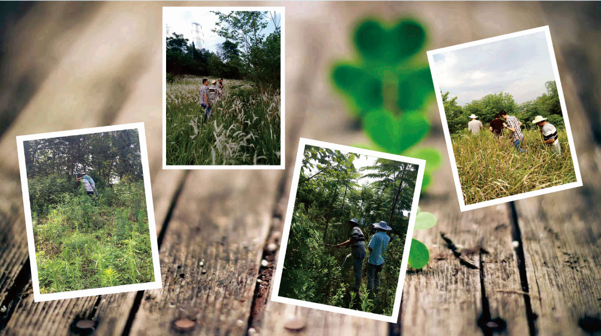 4《我們的日?！? 黃子涵.png