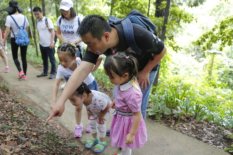 2.登山找昆蟲(chóng)2.jpg 2.登山找昆蟲(chóng)2.jpg